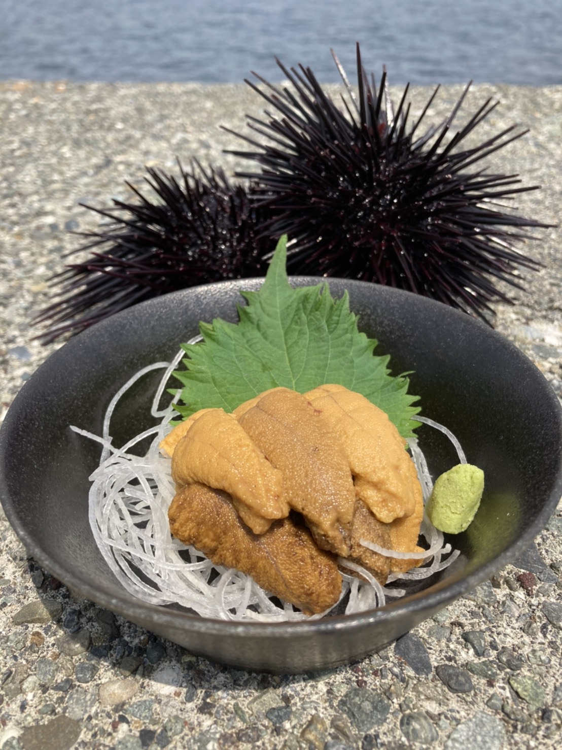 朝採れウニのお刺身を7月中旬まで期間限定でご提供しております。